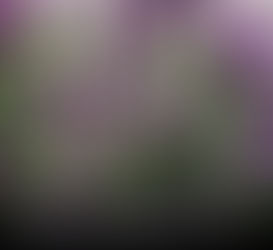 Wildfire is Coming...Are you ready?