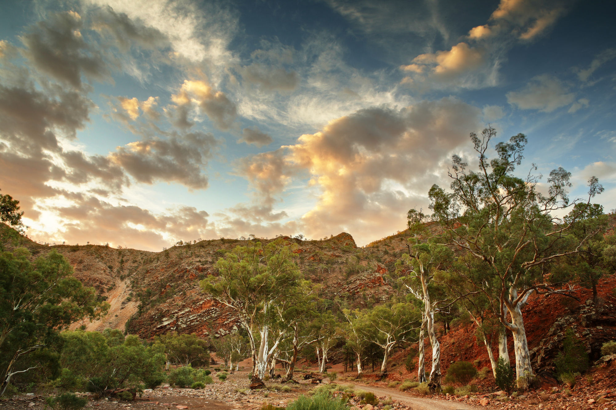 The Road through Brachina Gorge
