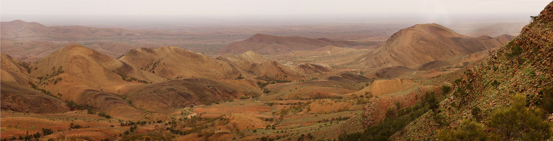 View from Mt Scott