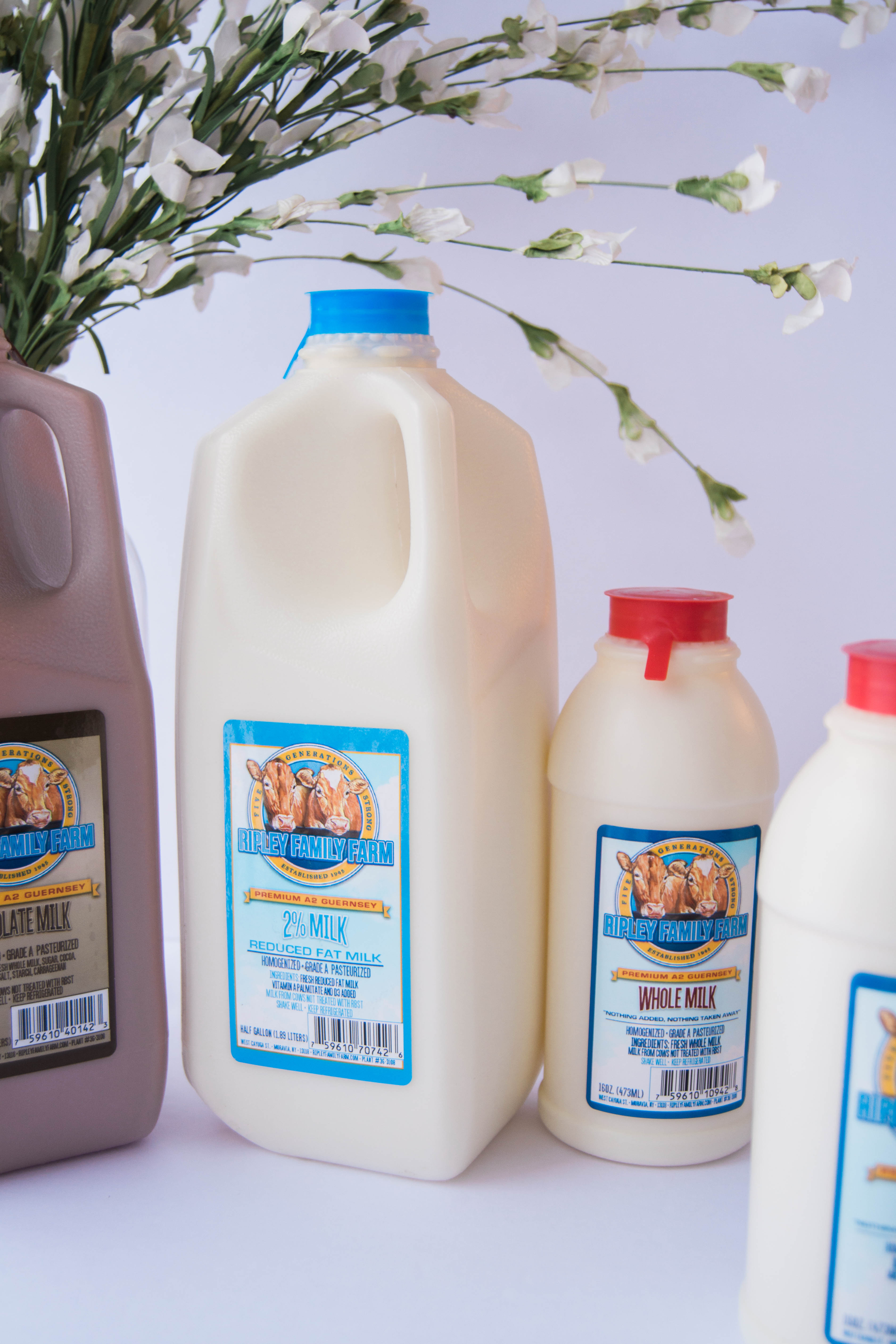 Buy Golden Guernsey Milk United States Golden Guernsey
