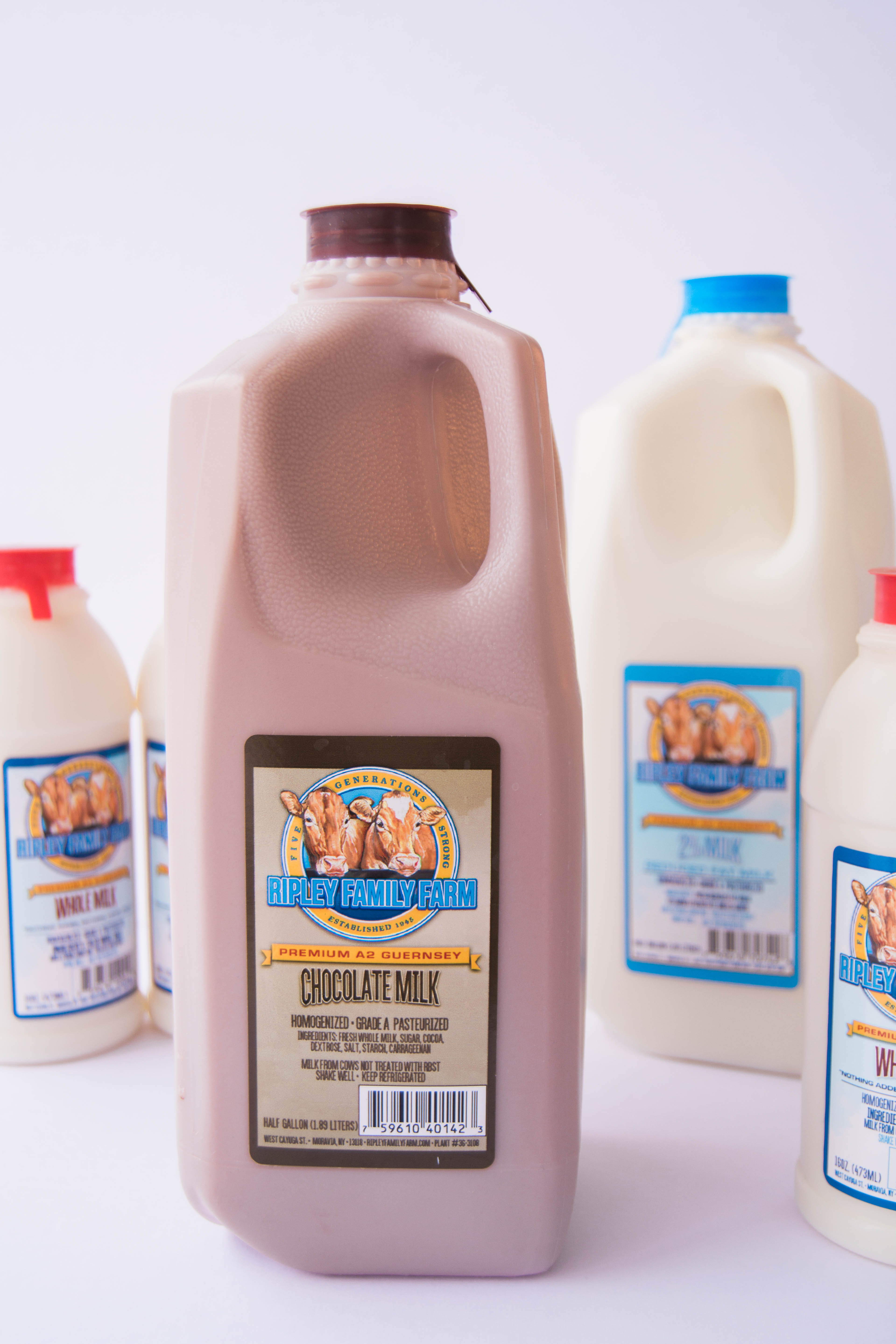 Buy Golden Guernsey Milk United States Golden Guernsey