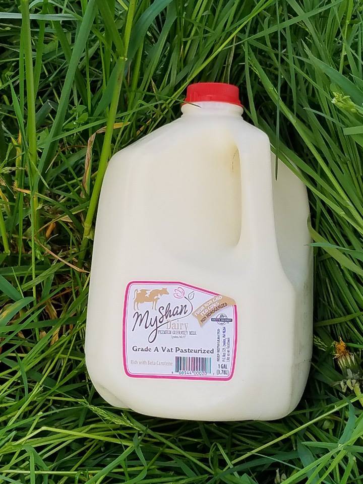 Buy Golden Guernsey Milk United States Golden Guernsey