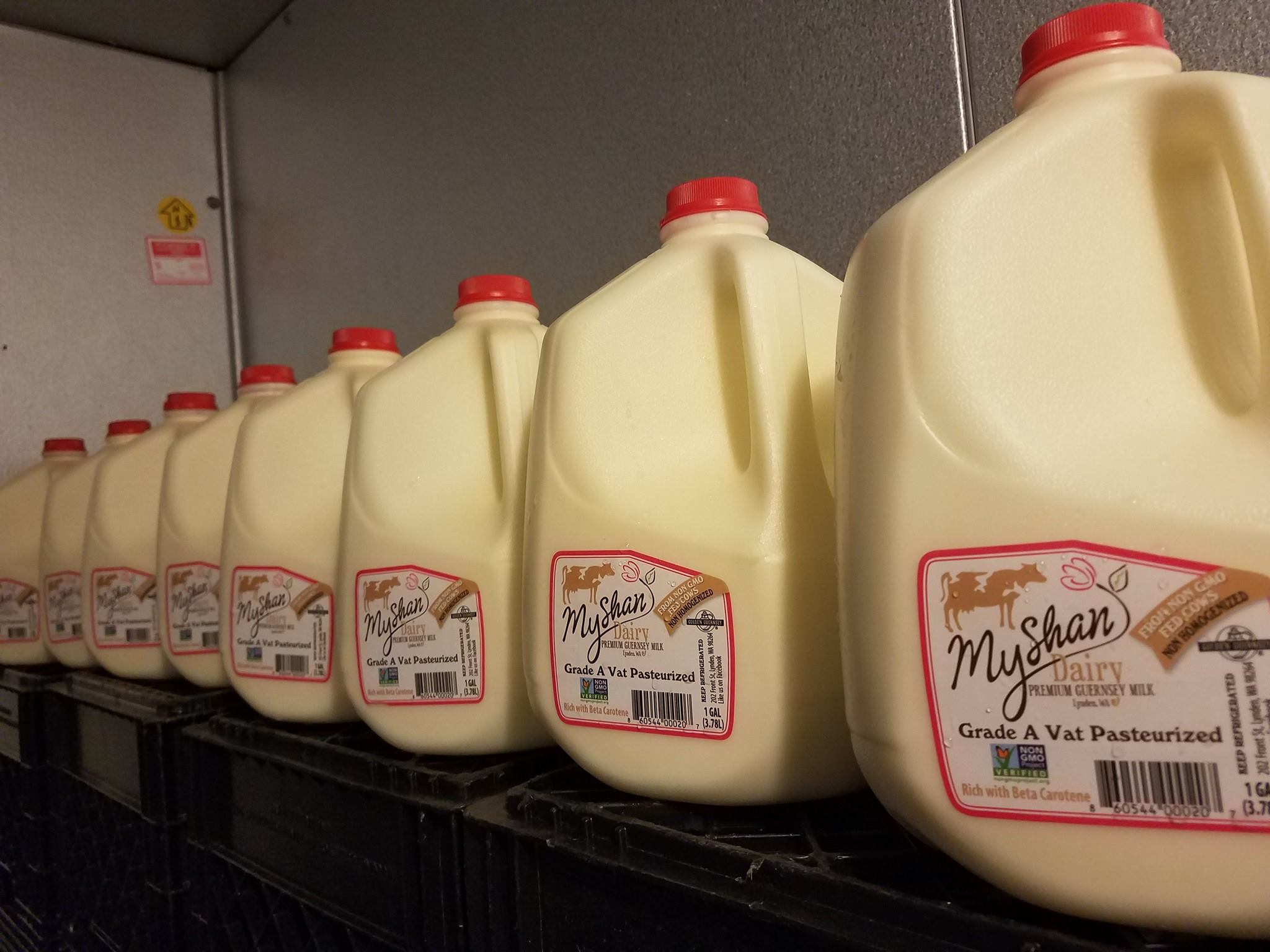 Buy Golden Guernsey Milk United States Golden Guernsey