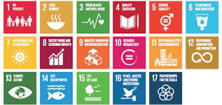 sdg goals 2.png