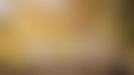 fases vida financeira