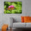 Thumbnail: Butterfly 1