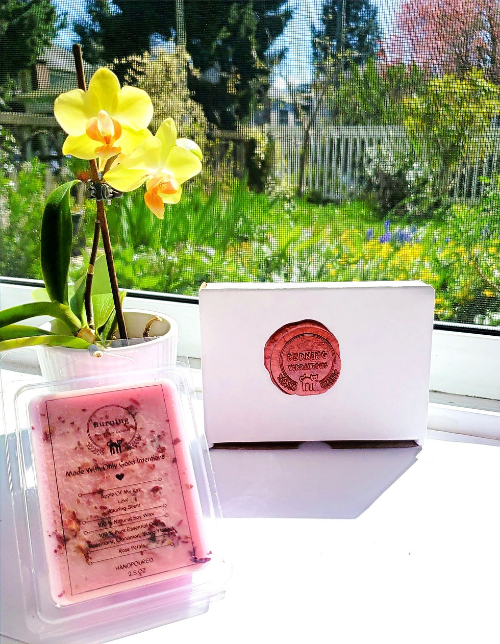 apple of my eye wax melt