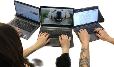 Image 18-11-2022 Ã 09.31 (1).jpg