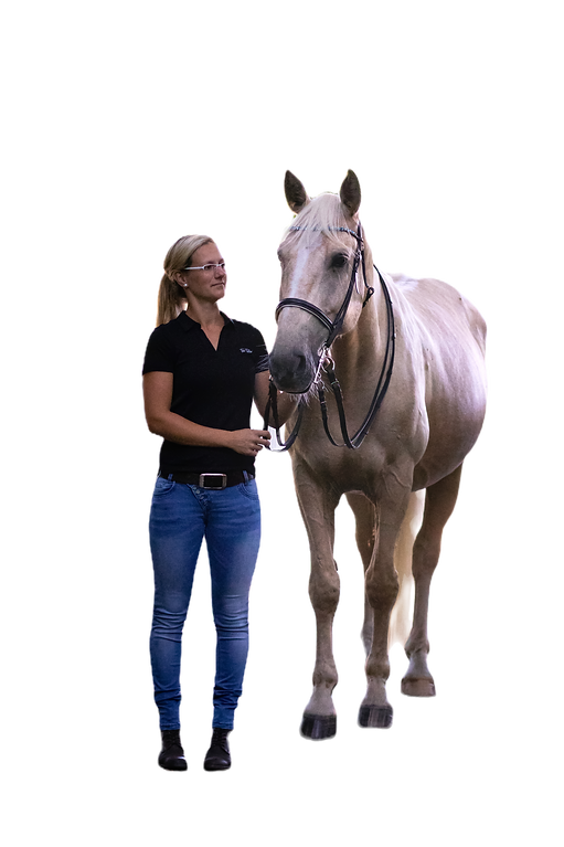 Bild mit einem Pferd