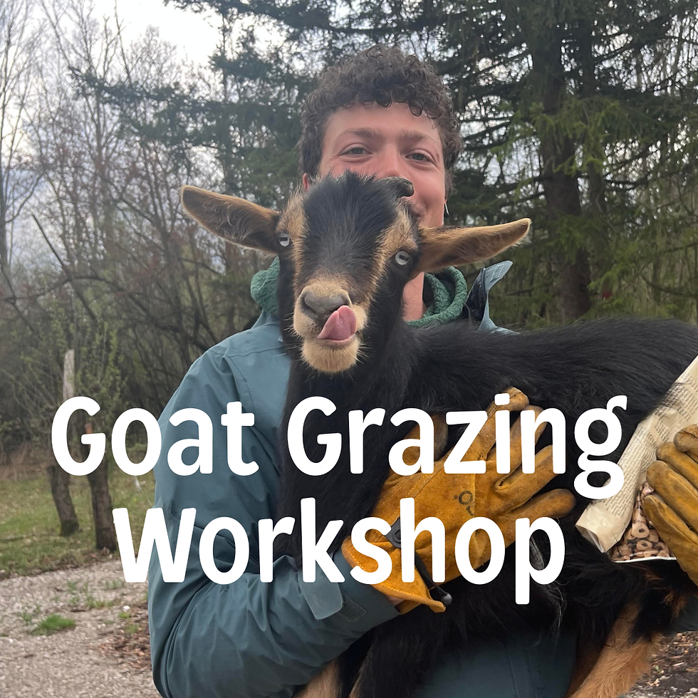 Goat Grazing Workshop