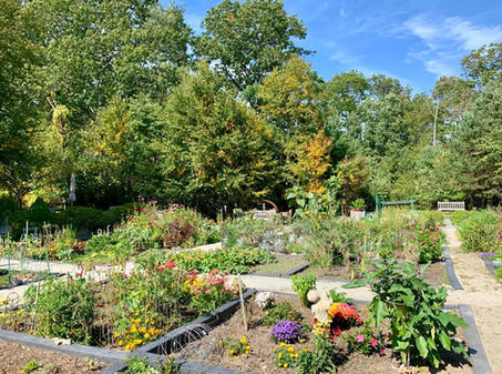 Central Gardens.jpeg