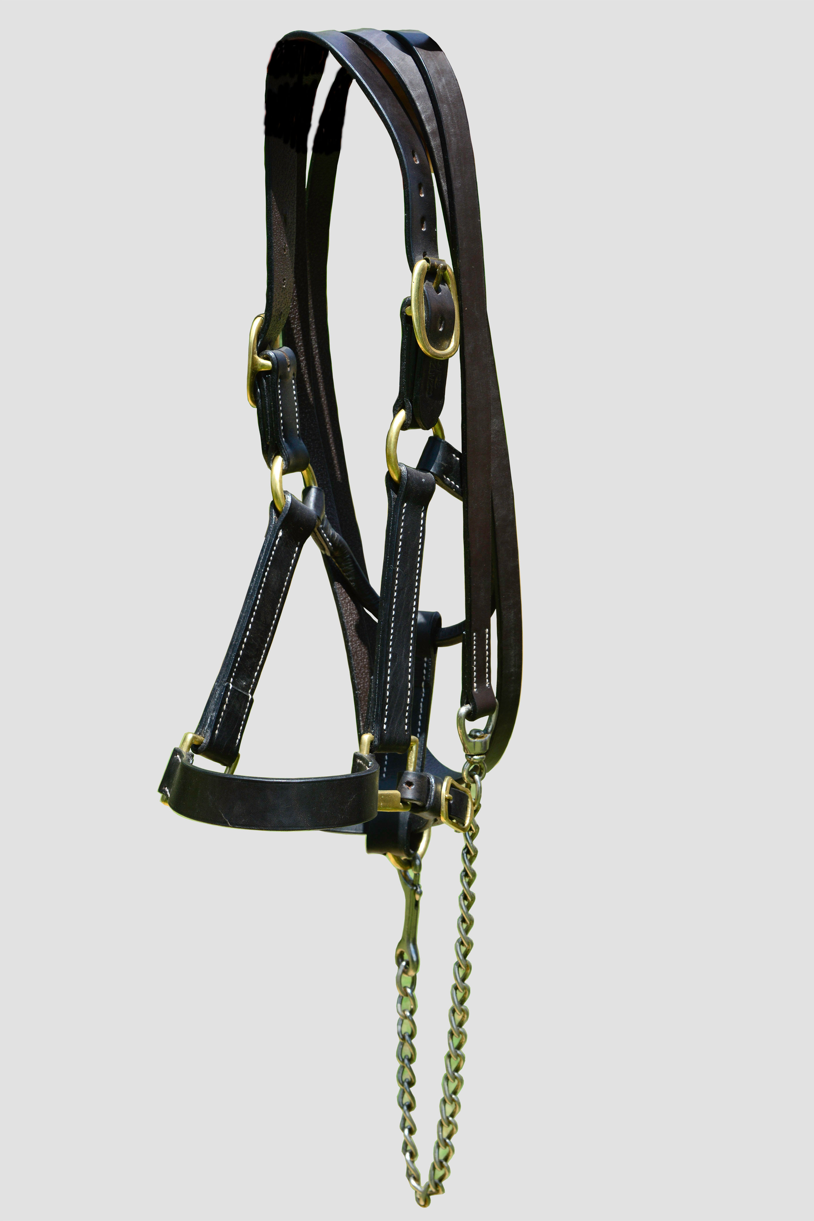 Polo mallets, Polo boots, Polo helmet, Polo saddles, Polo bridles, Polo gloves, Customize products for polo, Polo equipment,