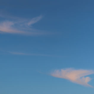 A statement on the Israel – Gaza war