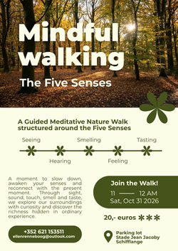 Mindful Walking