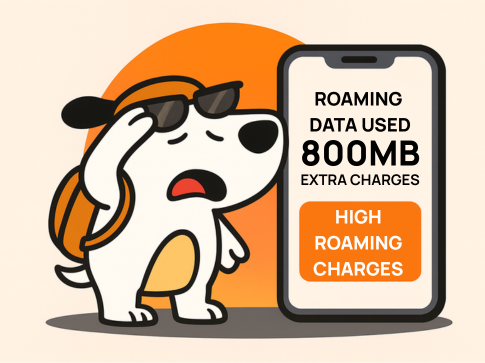 Travel SIM vs Roaming: Which One’s Right for Your Next Trip?