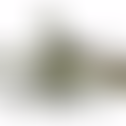 RSI and the Alexander Technique