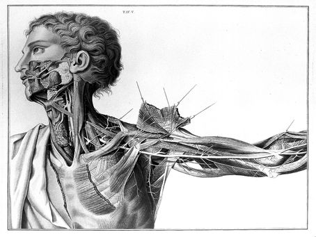 Body Mapping