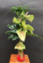 Opgemaakte vaas Dekker Anthuriums