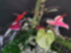 Anthurium boeket Dekker Anthuriums