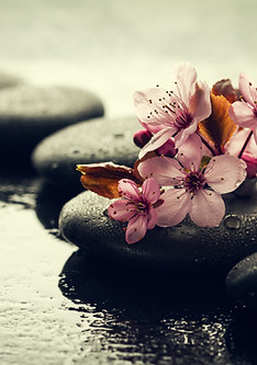 belle-fleurs-roses-de-spa-sur-des-pierres-chaudes-spa-sur-fond-humide-composition-laterale