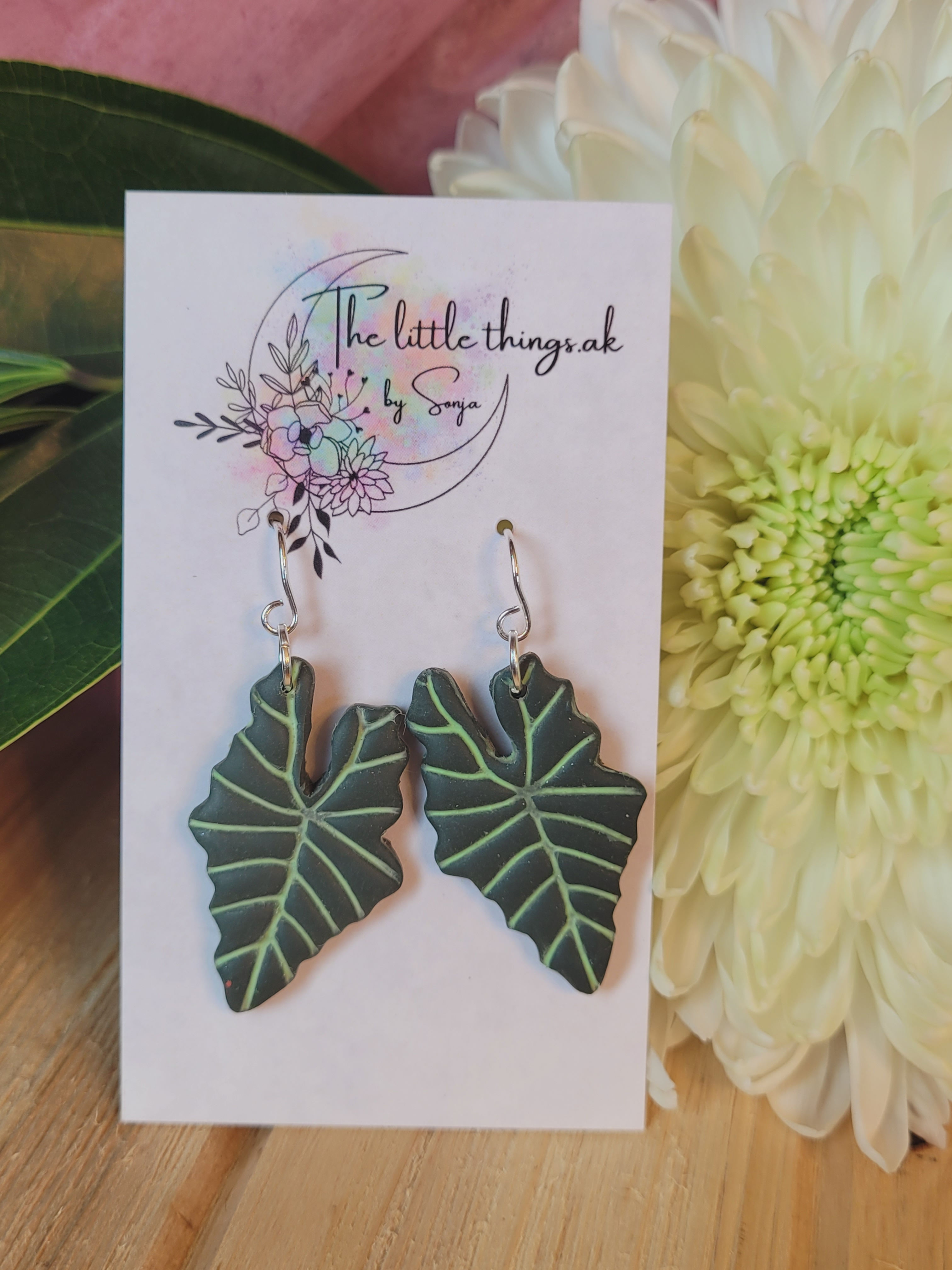 Alocasia