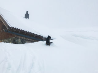 Tiefschnee am Rossstock