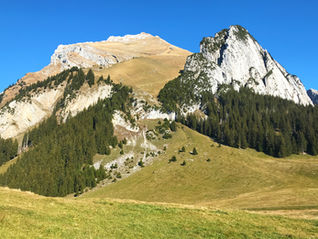 Wildhaus Schafberg