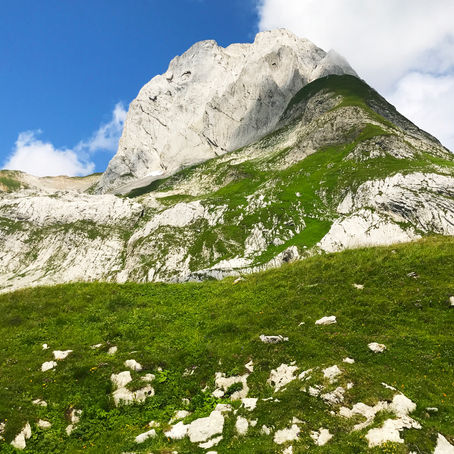 Traumhaftes Wanderwetter