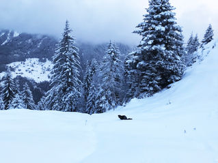 Bristenhütte