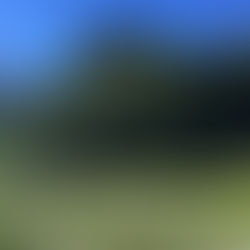 Tierbergli Klettersteig