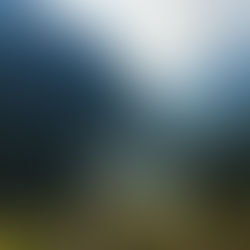 Lieblingsplatz - Bristen