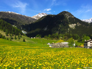 Alp Grüm & Rhätissche Bahn