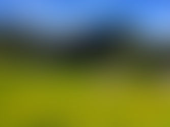 Alp Grüm & Rhätissche Bahn