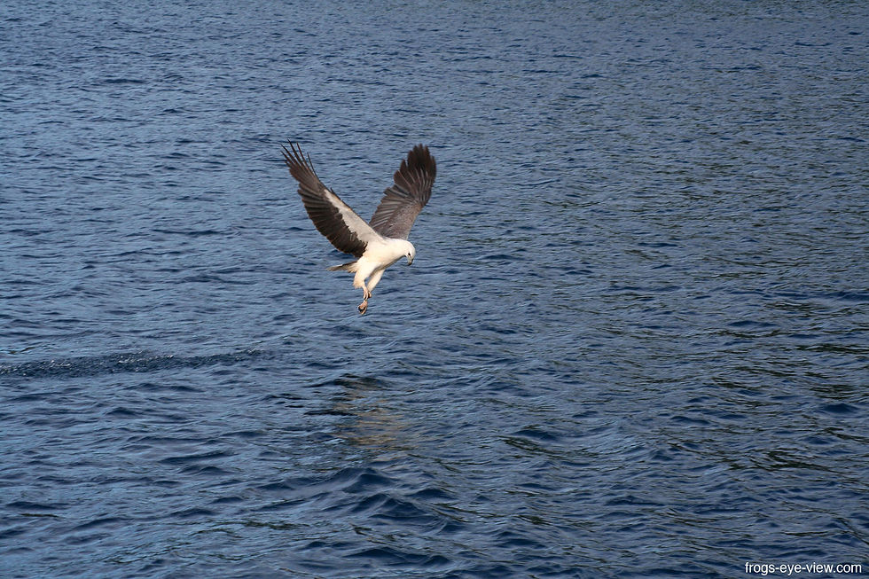 Airlie Beach & Whitsunday Islands