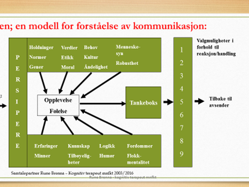 Den indre reisen; Introspeksjon og lederutvikling
