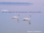 Be harmonious with each other