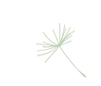Picto illustrations ressources(1).png