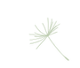 Picto illustrations ressources(1).png