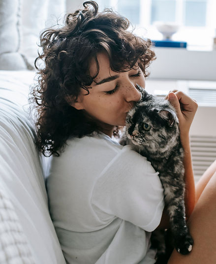 pexels-sam-lion-6001769.jpg