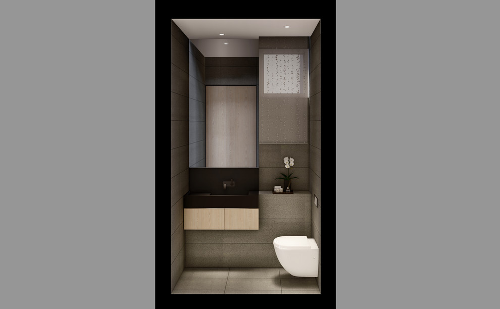 common toilet view1.jpg