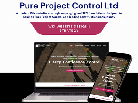 Pure Project Control Website Design | Underline Marketing