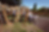 AVANTI GARDENS.June2023-09.jpg