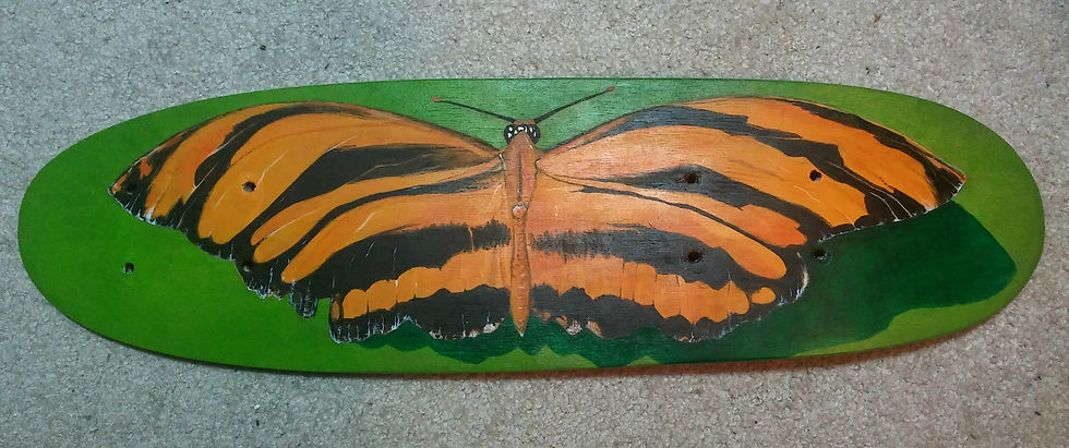 Beautiful Transformation