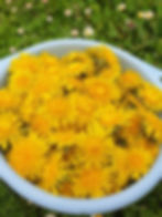 Miniature : Gelées de fleurs - Pissenlit & Acacia