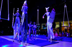 stilts and a time machine