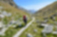 AdobeStock_223057789.jpeg