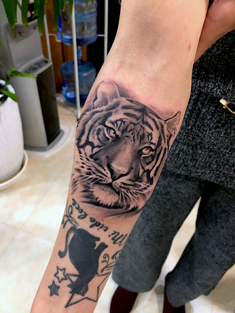 虎・トラ・Tiger