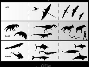 The Dark Matter 'Scavengers' EP out on Antarctic Records