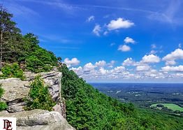 20180804_150057.JPG