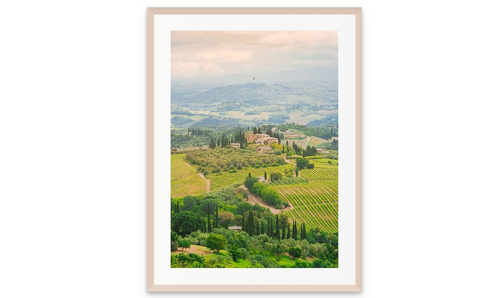 Fine art photography of golden fields in the Tuscan countryside